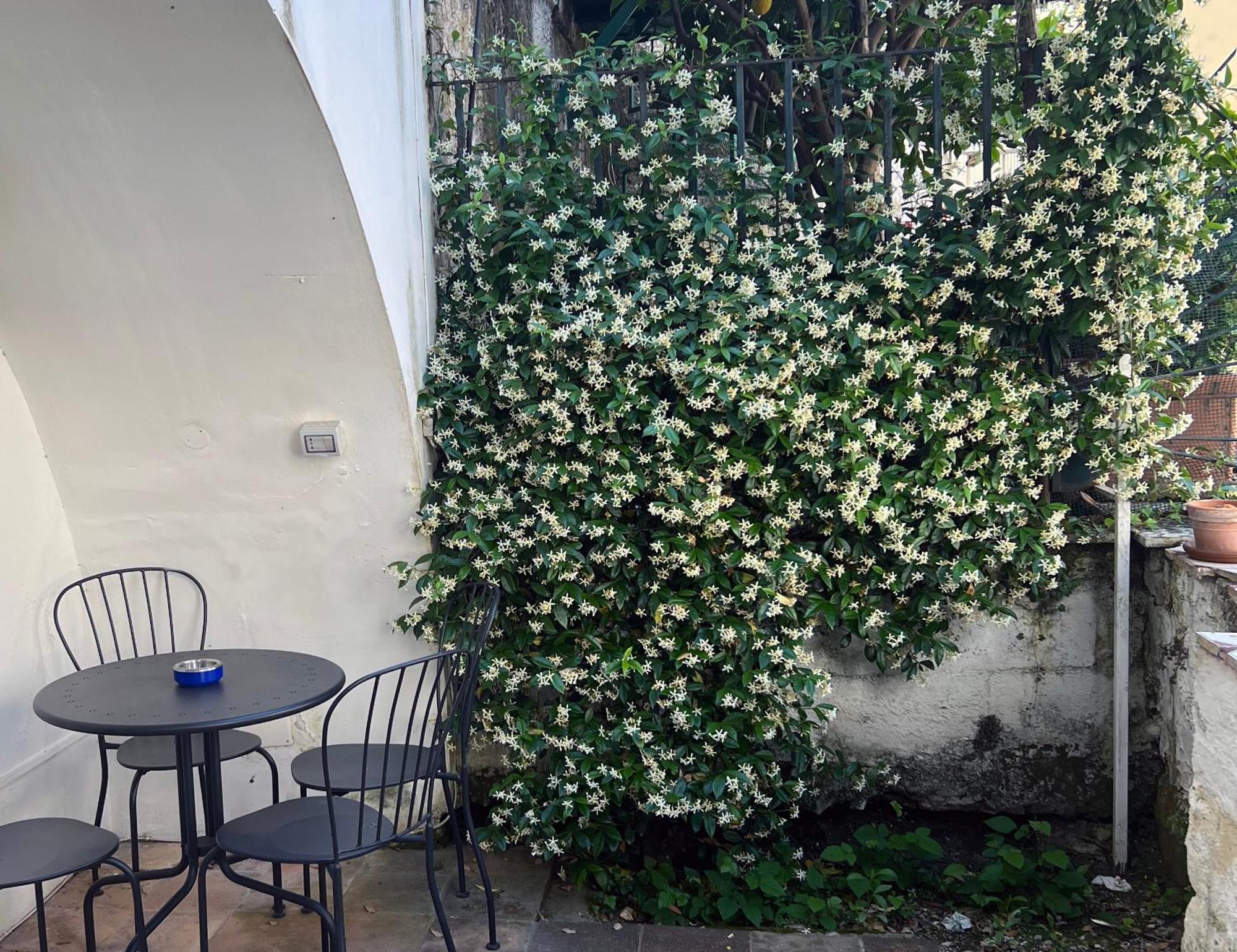 Il Regno Delle Due Sicilie E Il Regno Di Napoli Apartment Luaran gambar